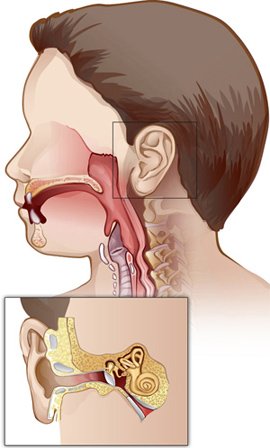 Болезни лор органов